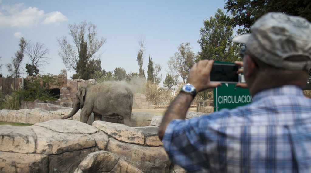 10 zoológicos mas famosos de Mexico con Viatge